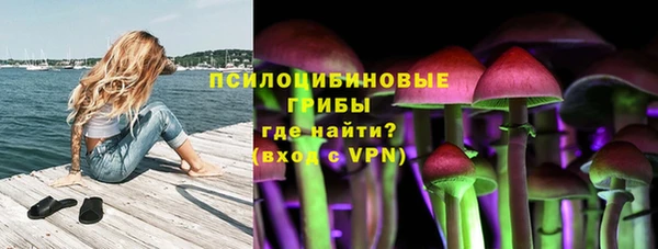 кокс Алексин