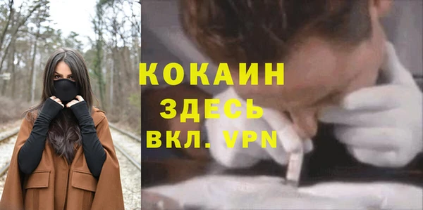 кокс Алексин
