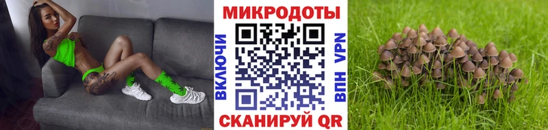 Псилоцибиновые грибы мицелий  даркнет сайт  Нижняя Салда 